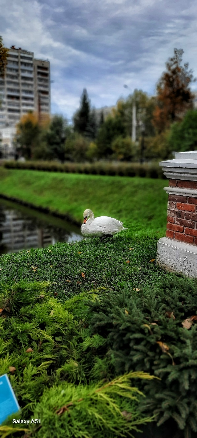 Осень 🍁 Карякинский парк ❤
📷 Людмилы Басовой