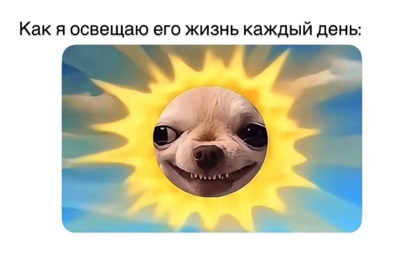 Девочки, мы? 😁