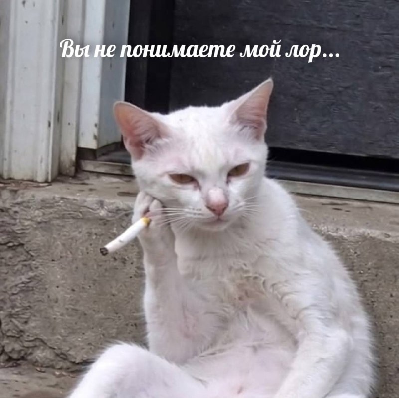 Когда все думают, что ты сидишь дома и нихуя не делаешь, но ты сидишь дома и нихуя не делаешь, трево