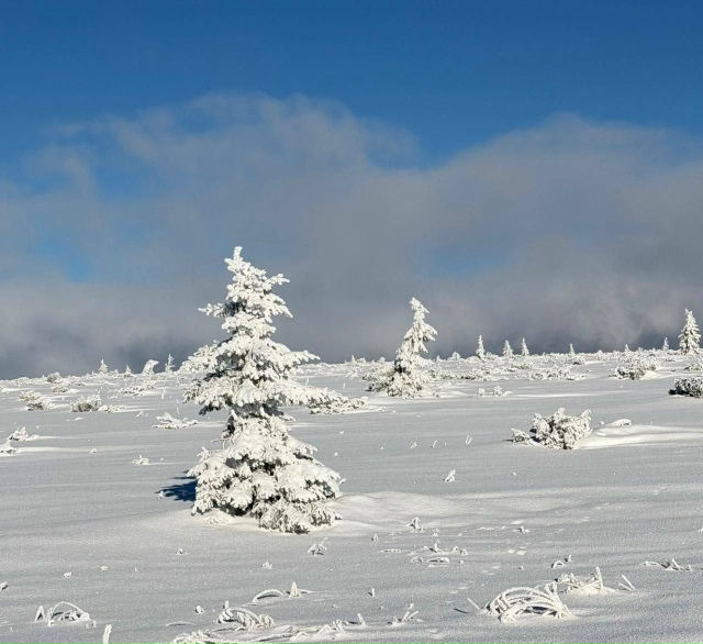 На севере Свердловской области уже царит настоящая зи?...