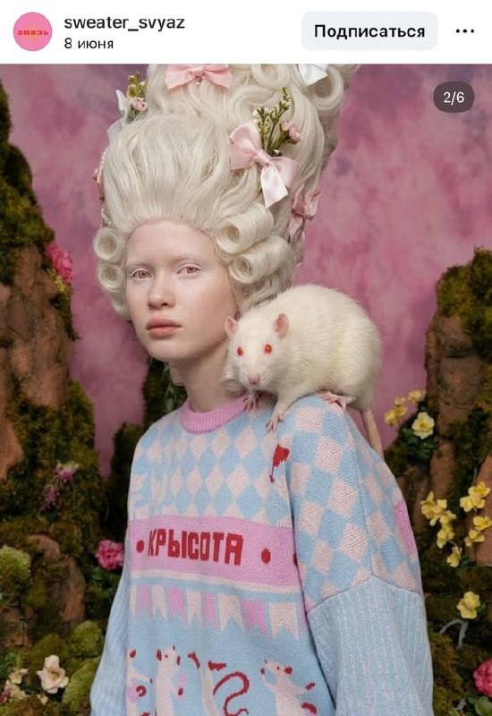Прикол, бренд Sweater Svyaz выпустил свитер «КРЫСОТА». В составе хлопок и акрил, цена — 7000₽.
Вы з