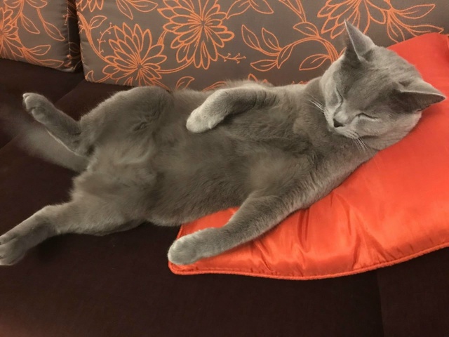 День расслабленности и беззаботности отмечаем сегодн?...