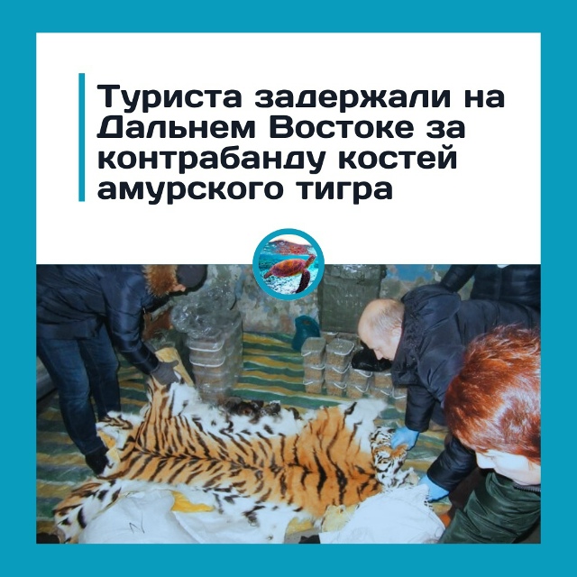 Турист превратил свой багаж в кладбище животных
На Да?...