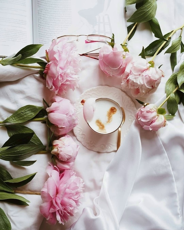 человеку необходимо всеми силами двигаться по направл...