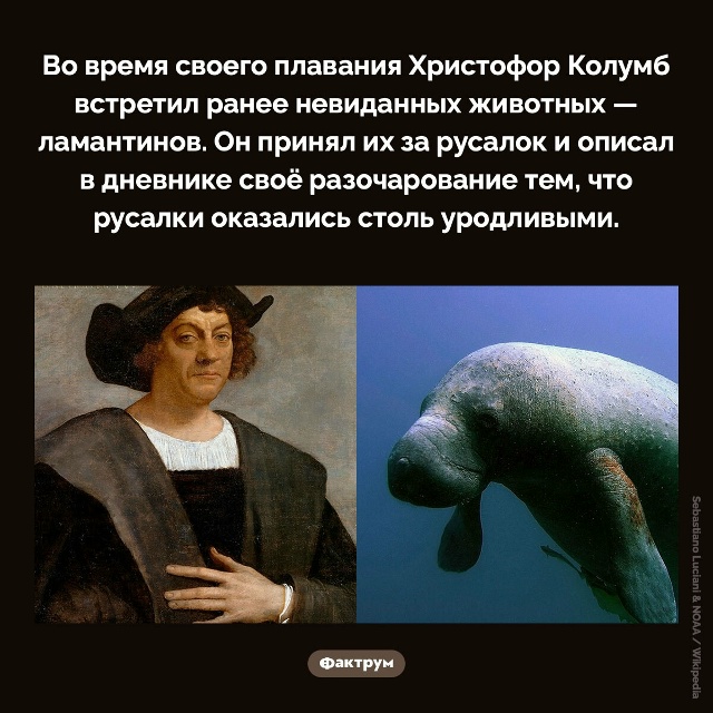 Подборка интересных фактов.