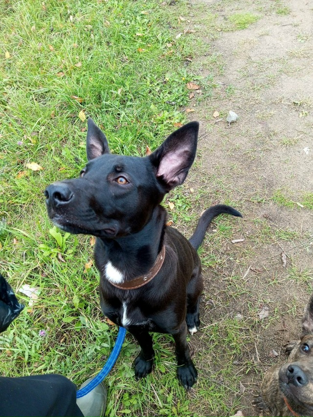 Доброго время суток всем, Помогите пристроить квартир?...