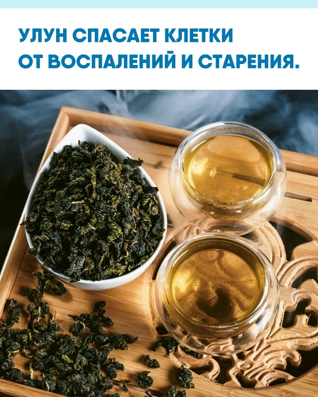 Учёные из Тайваня выяснили, что чай Улун защищает орга?...