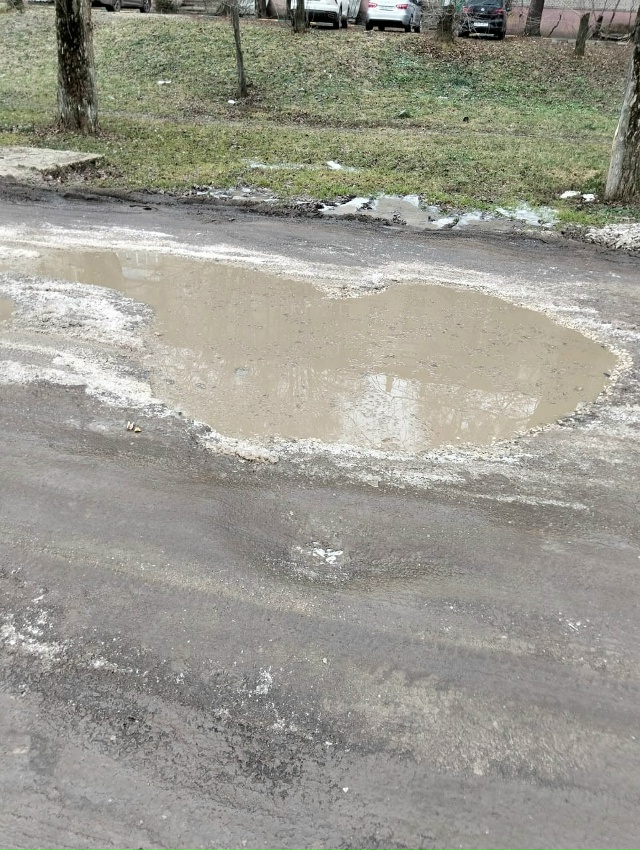 Уважаемая администрация города Тулы, если Вы читаете э...