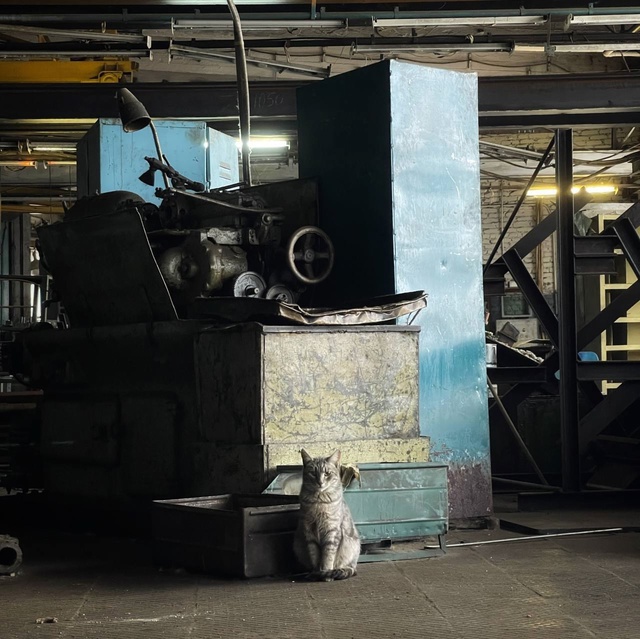 Анатолий Хвостокарпиков радостно сообщил в ебудашке, ?...