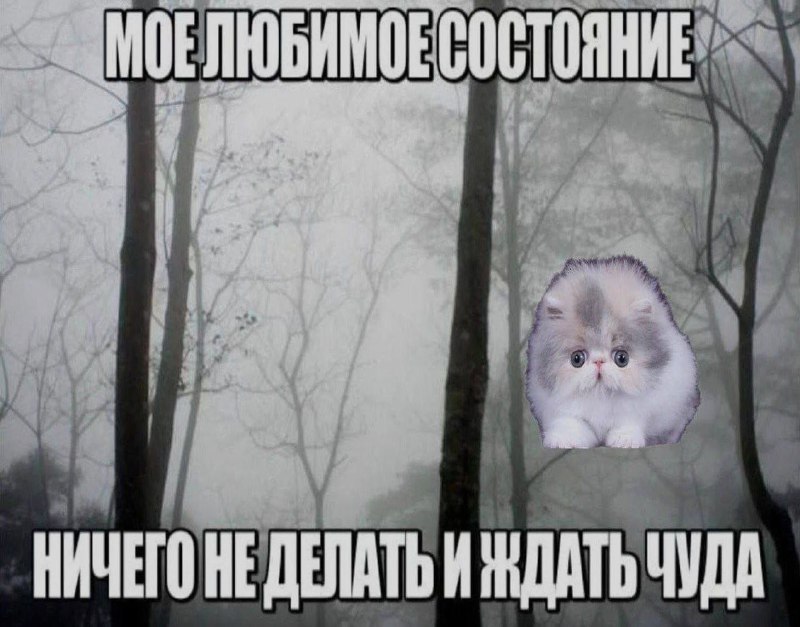 Утренняя подборочка