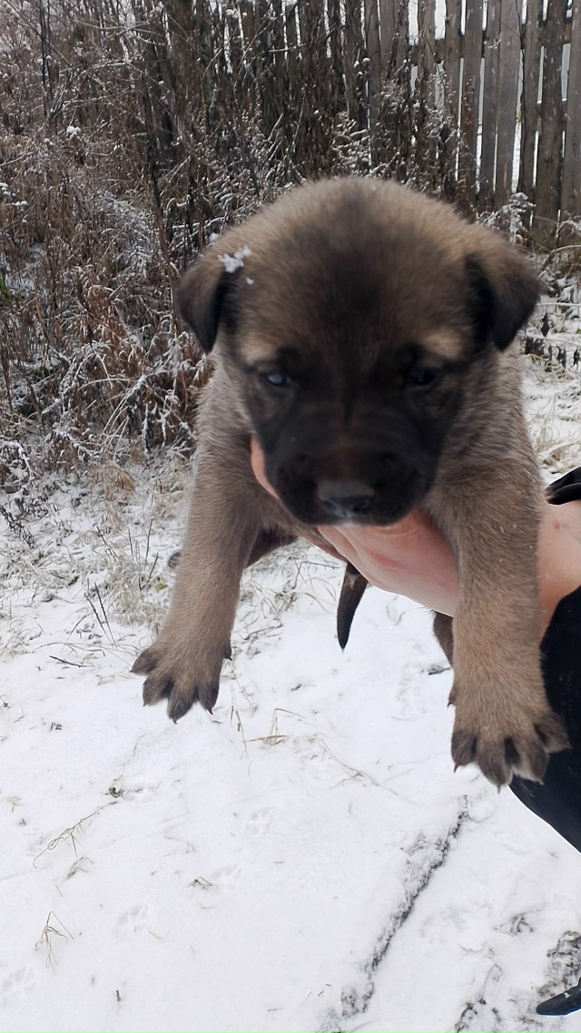 🆘️🆘️🆘️🆘️🆘️🆘️🆘
️Уважаемые жители нашего го?...