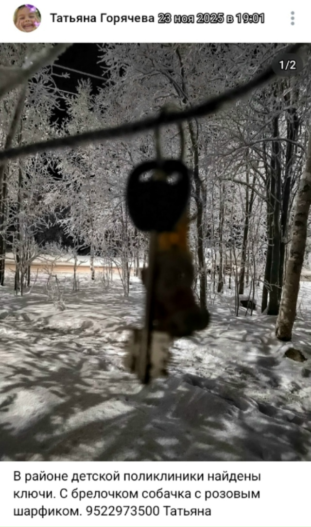 #потеряшки@pdsh51