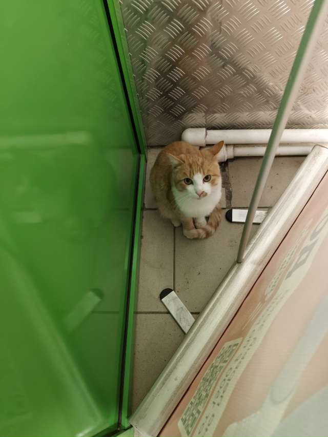 Чья потеряшки в пятерочке в центрен