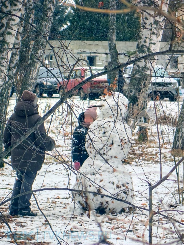 ☃️Парад снеговиков .
В эти дни снег такой липкий, поэ?...