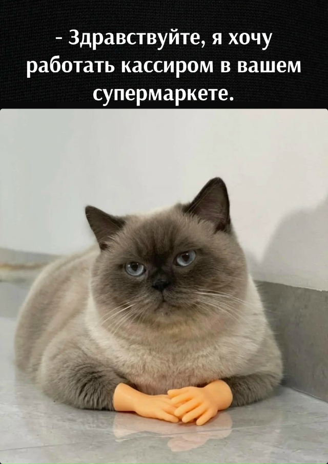 Вы приняты😃