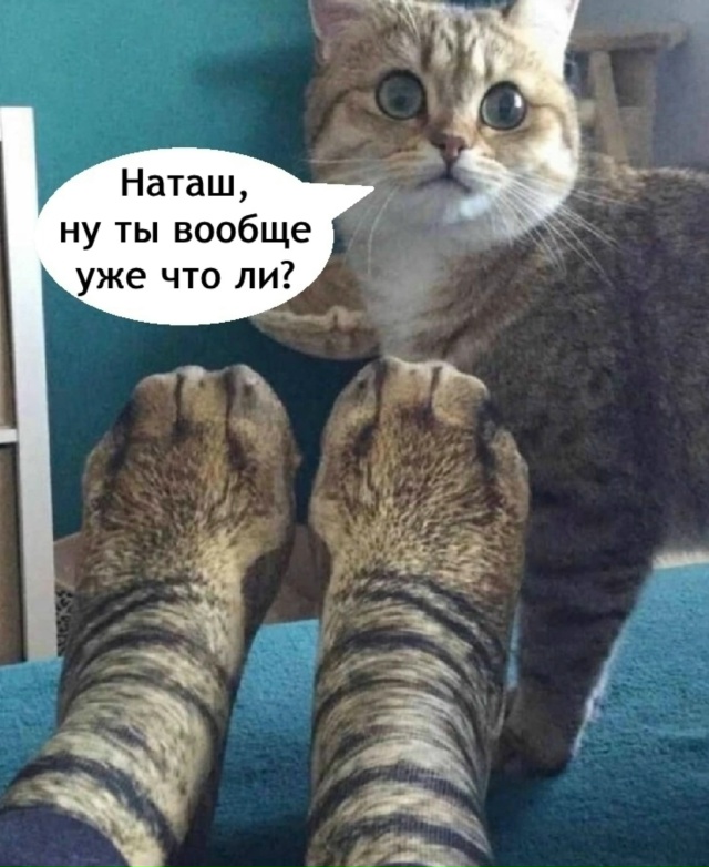 Ну это уже ни в какие ворота не лезет