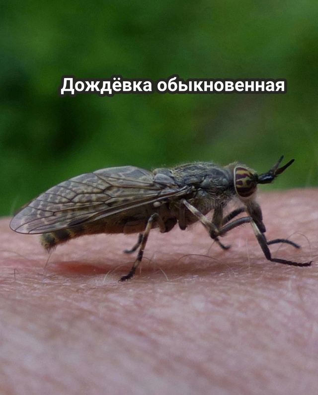 ⚡️Ладно, убедили😀