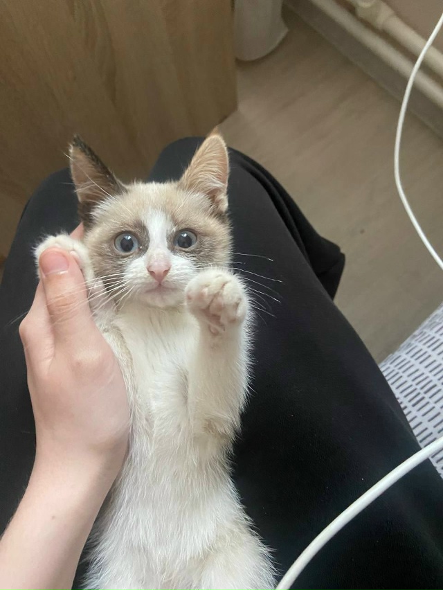 9 августа, по улице советская на конечке уральской, ушл?...