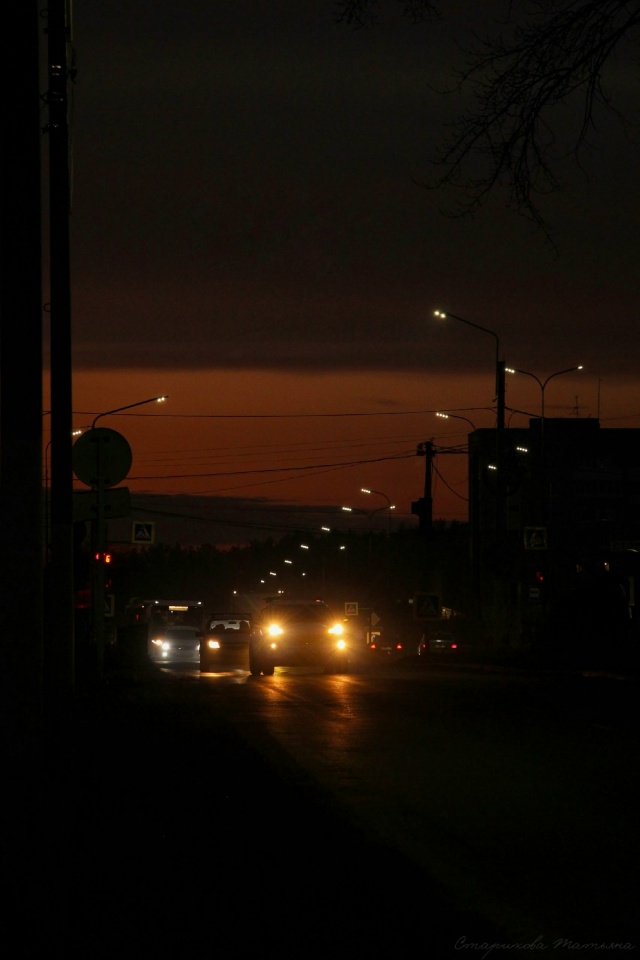 Спокойной ночи 🌙
Фото: Татьяна Старикова