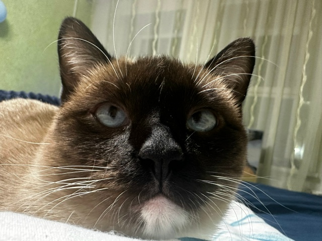 Кося чудит🫢🥹