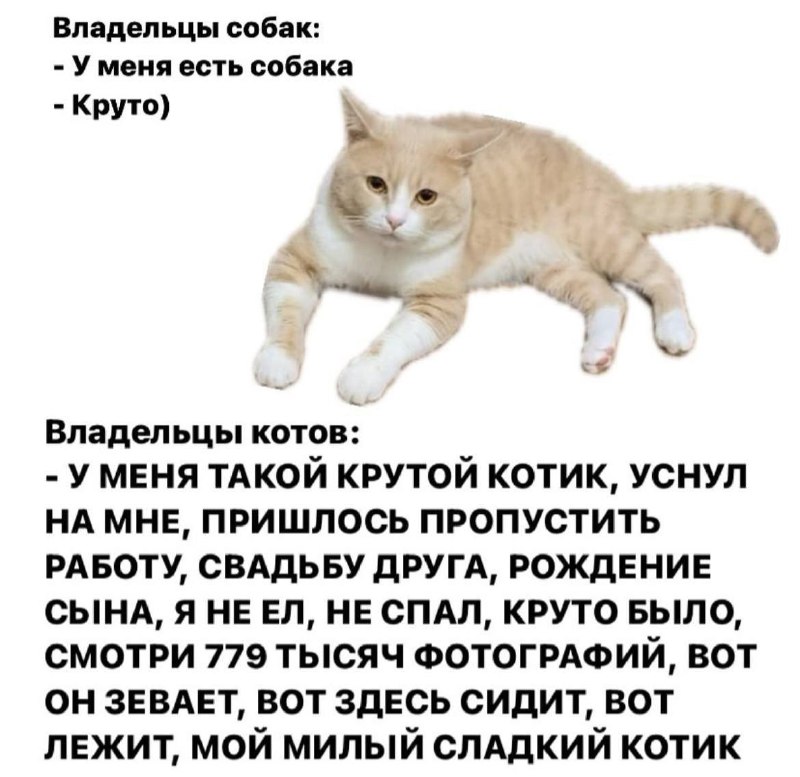Утренняя подборочка