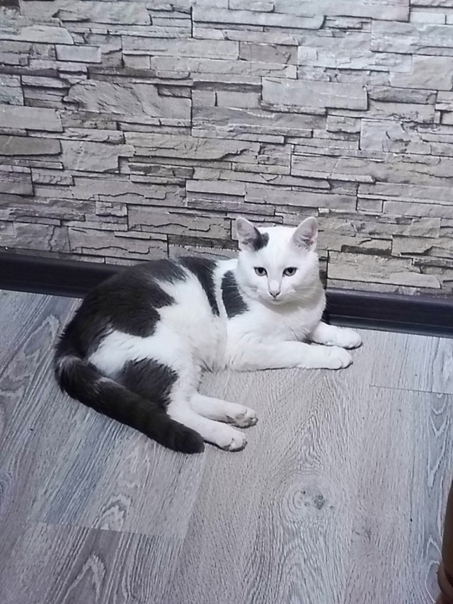 мальчик Моня.