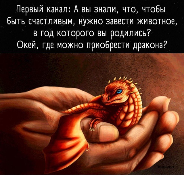 Куплю лошадь. Срочно. Недорого.