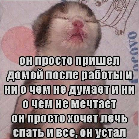 Ночная подборочка
Спать, режим