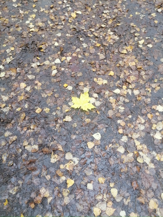 Всех Не иппохондриков, с осенней погодой, переходящую ?...