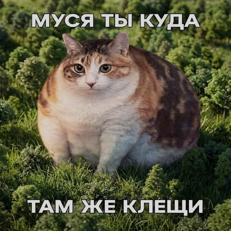 Ночная подборочка
Спать, режим