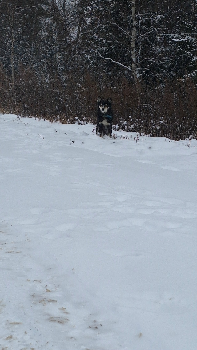 На днях ехали с семьёй в г.Красноярск . Как всегда остан...