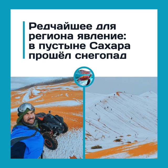 Сахара пережила редчайший снегопад
В пустыне Сахара п...