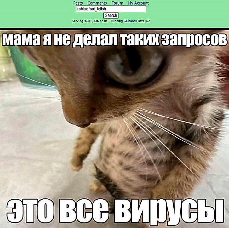Утренняя подборочка