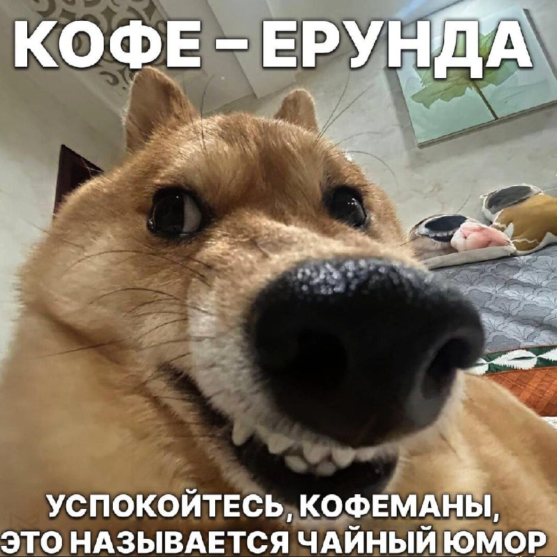Исследование показало, что кофейная бодрость — часто плацебо
Учёные разделили любителей кофе на две