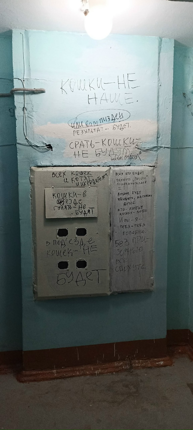 Возьмите кошечку в частный дом 🙏
Мышеловка отличная, ?...