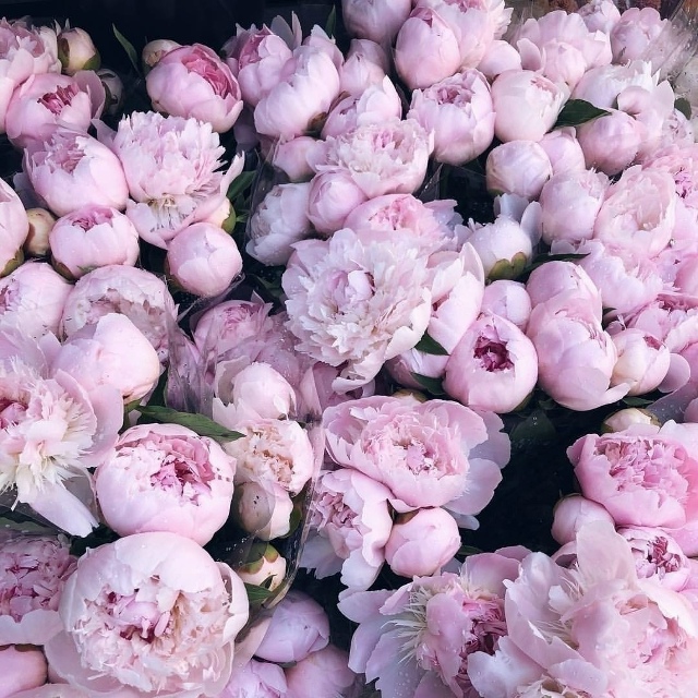 если внутри человека живёт весна, её не испортит даже п...