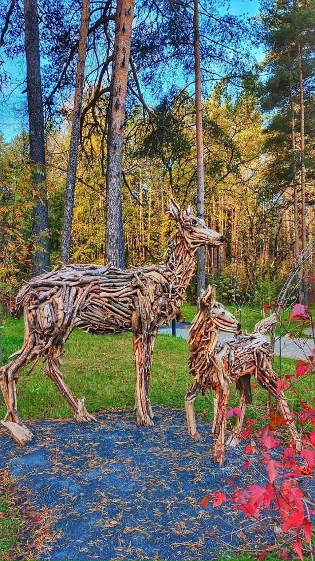 ? Обитатели Балатовского парка
? Кристина Гермаш