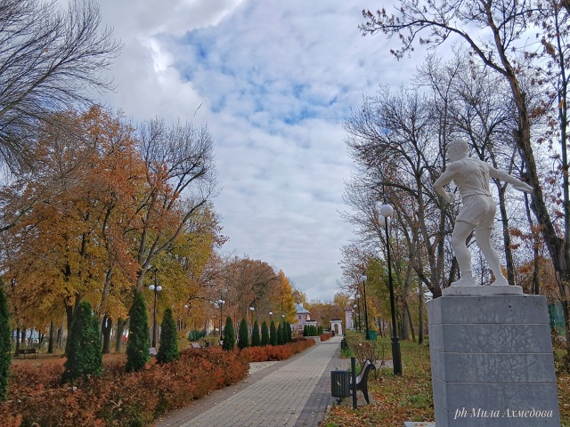 Больничный осенний октябрьский парк.
Отражение дер...