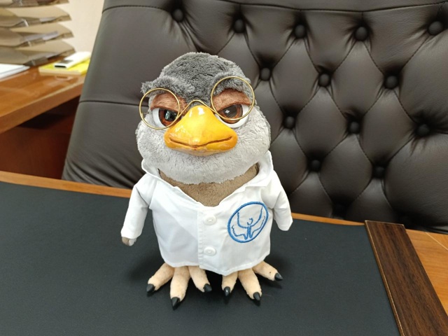 «Кукух» решила зарегистрировать психбольница
Речь и...