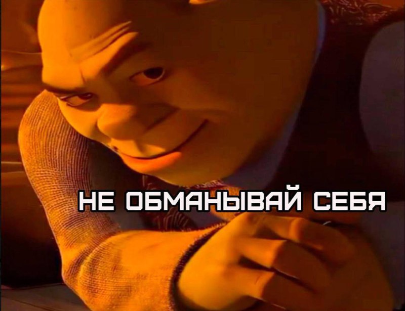 я: *собираюсь сегодня лечь спать пораньше, чтобы наладить режим*
как на меня смотрит кнопка «следую