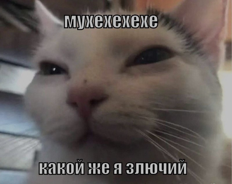 Ночная подборочка
Спать, режим