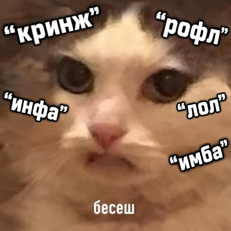 «Кринж», «рофл», «инфа», «лол» и «имба» стали самыми раздражающими словами в повседневной речи.
Им