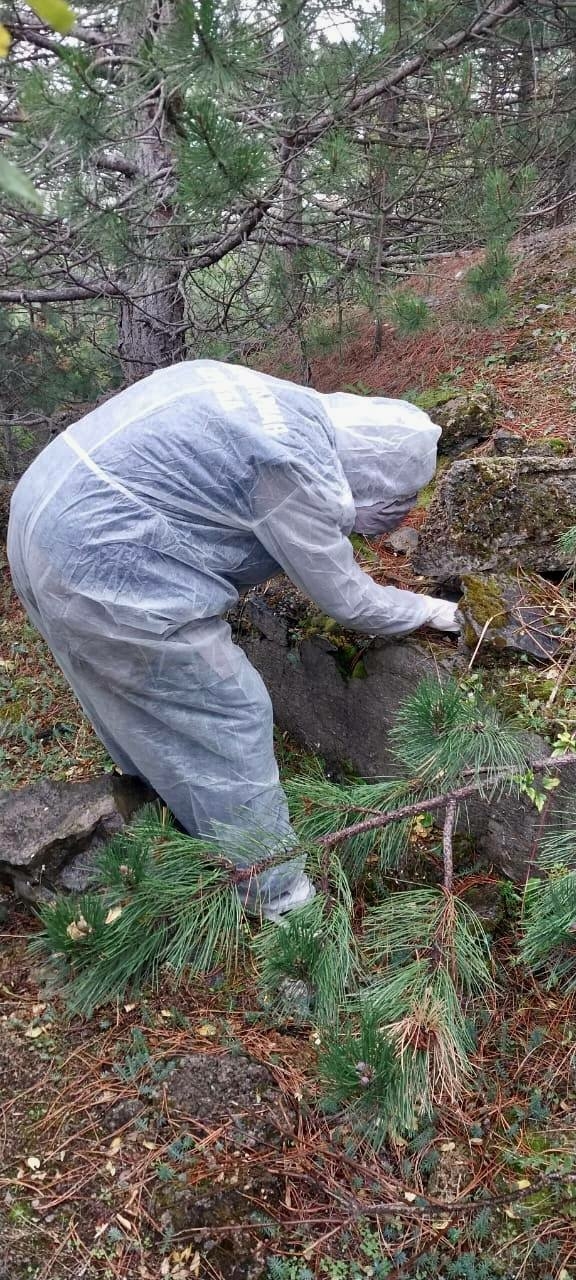 ‼️Важно! Если в лесу нашли эти 