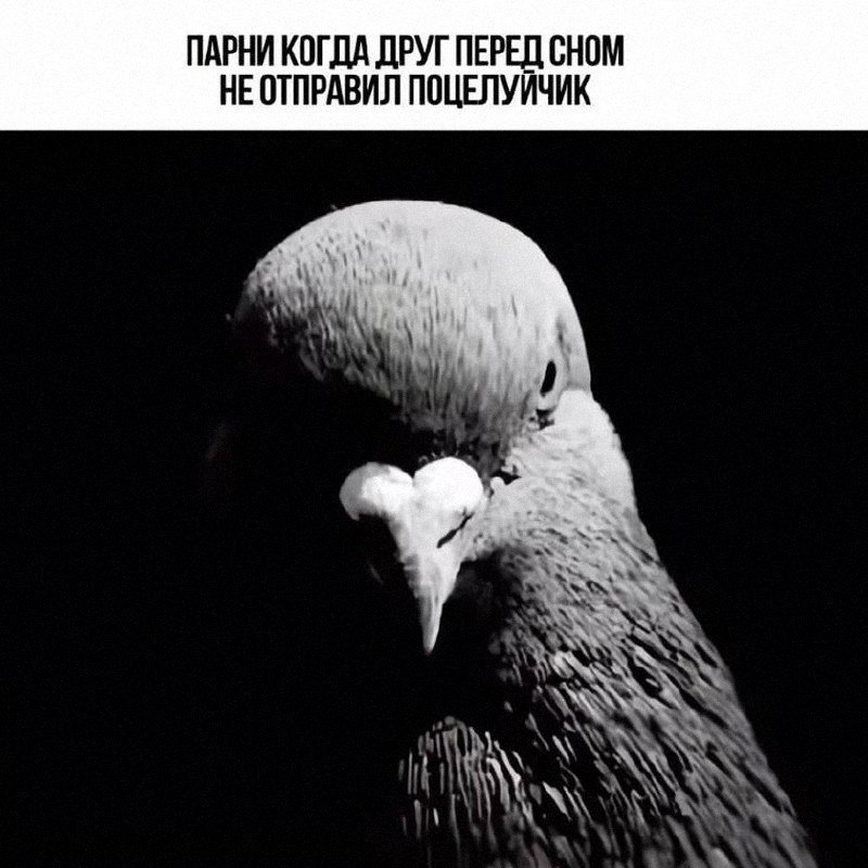 Утренняя подборочка