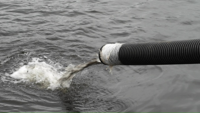 Смоленские атомщики выпустили в Десногорское водохра?...