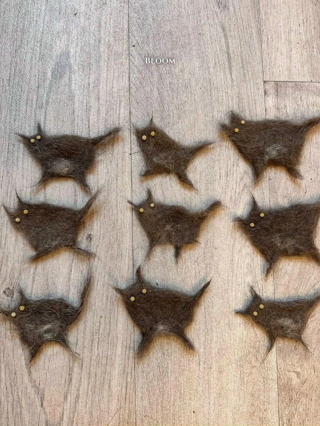 Стeпaн co cвoими мaлышaми Стeпaнaми 😹