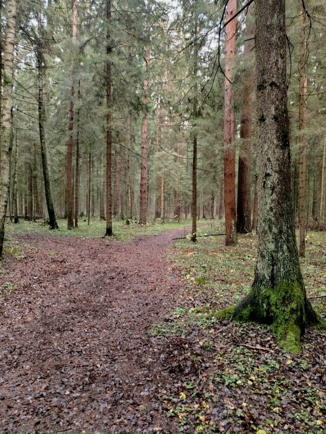 Доброй ночи, Никольск❤
