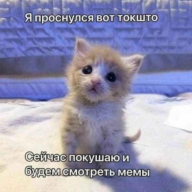 Просто утречко выходного дня