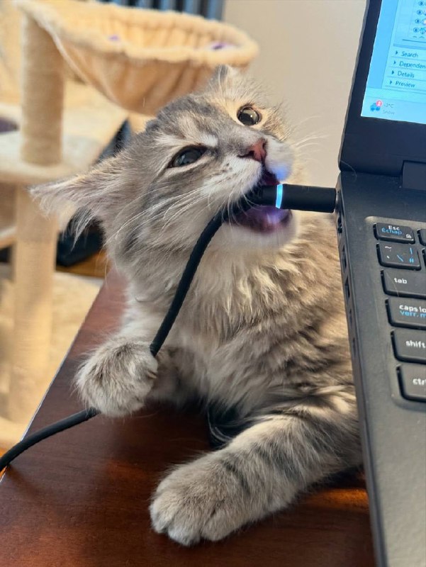 Мастер по ремонту нутбуков