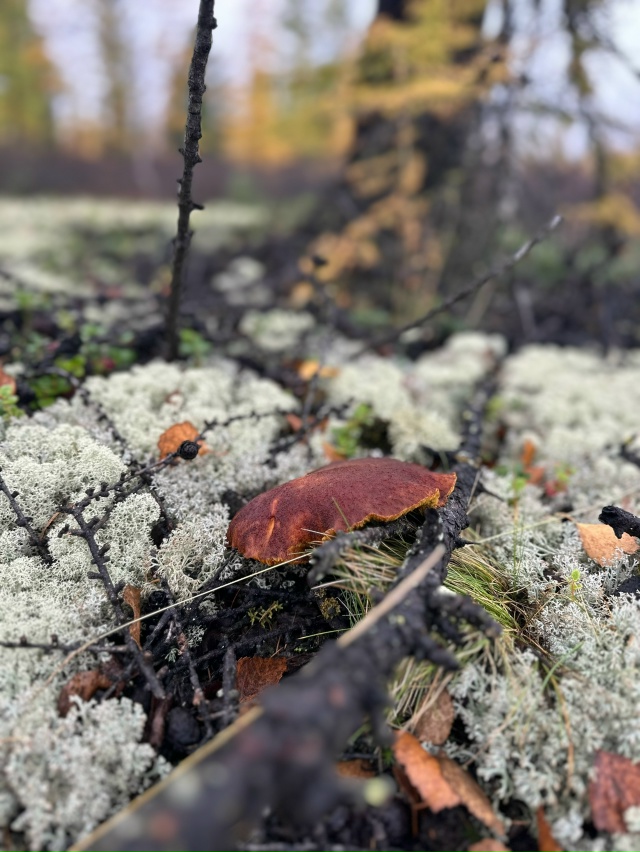 Привет Бузулук! Моя малая родина! Вот такая природа у н?...